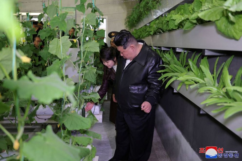 Un'altra apparizione in pubblico di Kim Ju Ae - REUTERS