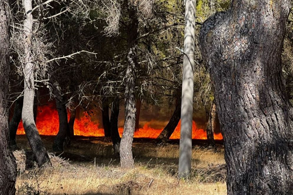 Una delle immagini postate su Facebook dal sindaco di Pulsano - Foto Luca Tocci
