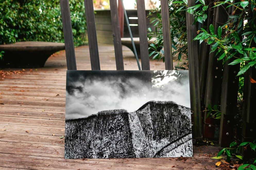 Norman Foster, Cappella Vaticana, 2018 (particolare) - Don McCullin, Il bosco di Ravello, 2005 - Punctum