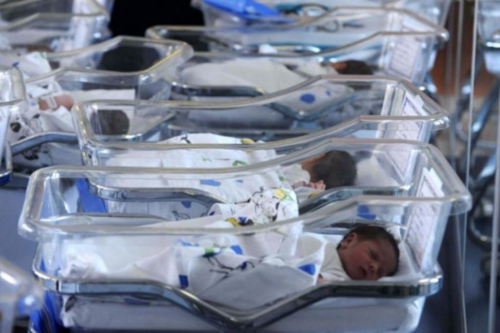 Un reparto natalità - Dal Web