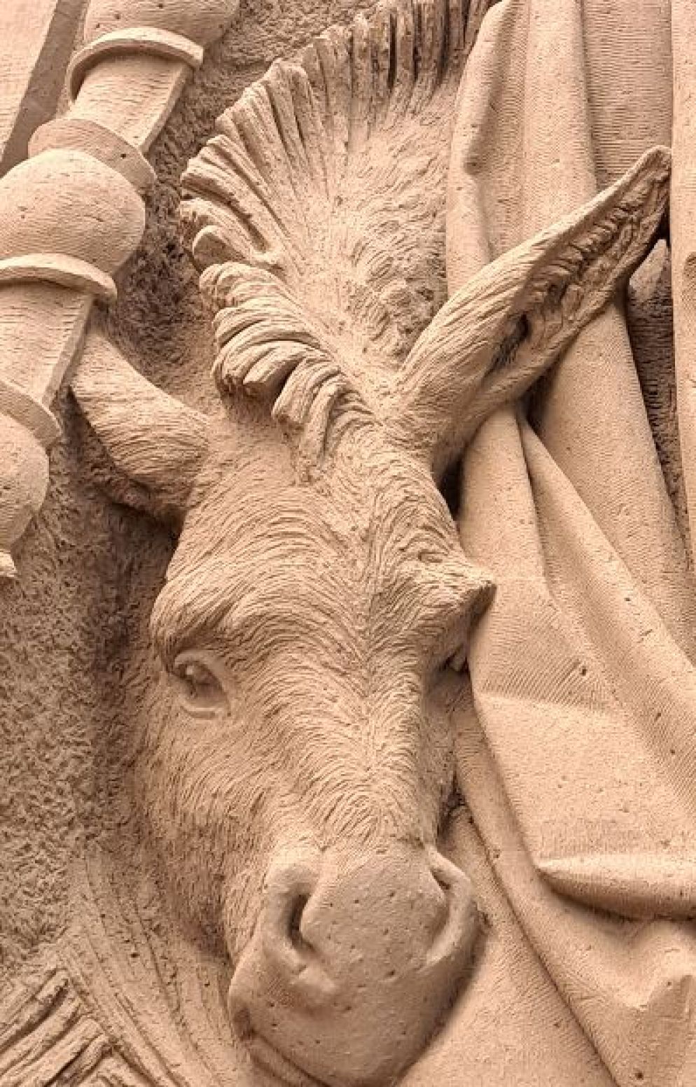 Il dettaglio dell'asino nella Natività - .