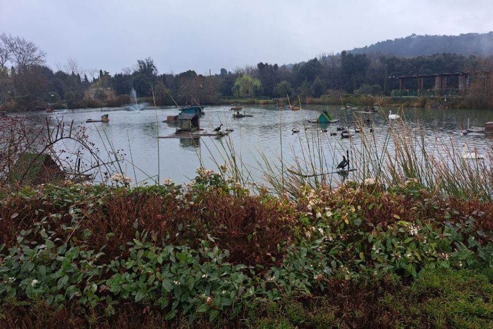 Un'immagine della tenuta "La rimessa" di Spalletti - Foto Castellani