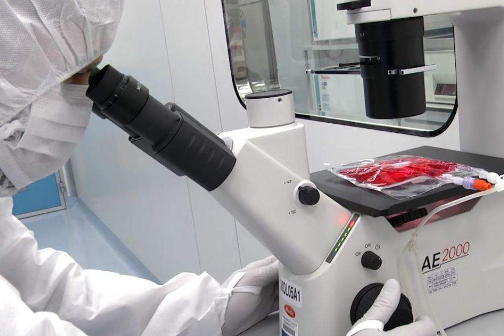 L'agente patogeno apparso in Congo non è ancora stato isolato - -