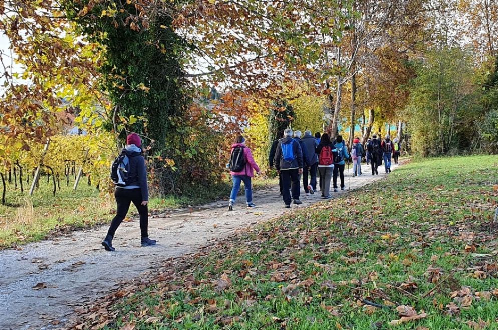 I pellegrini lungo il “Cammino di sant’Antonio” tra Vittorio Veneto e Conegliano - "Messaggero di Sant' Antonio"