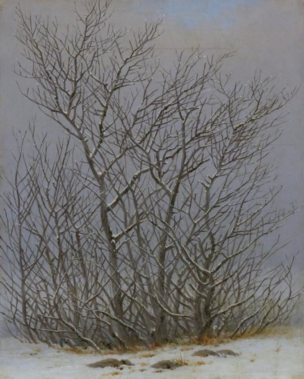 Caspar David Friedrich, “Cespugli nella neve”, 1827-1828 - Albertinum/Staatliche Kunstsammlungen Dresden/Elke Estel-Hans-Peter Klut
