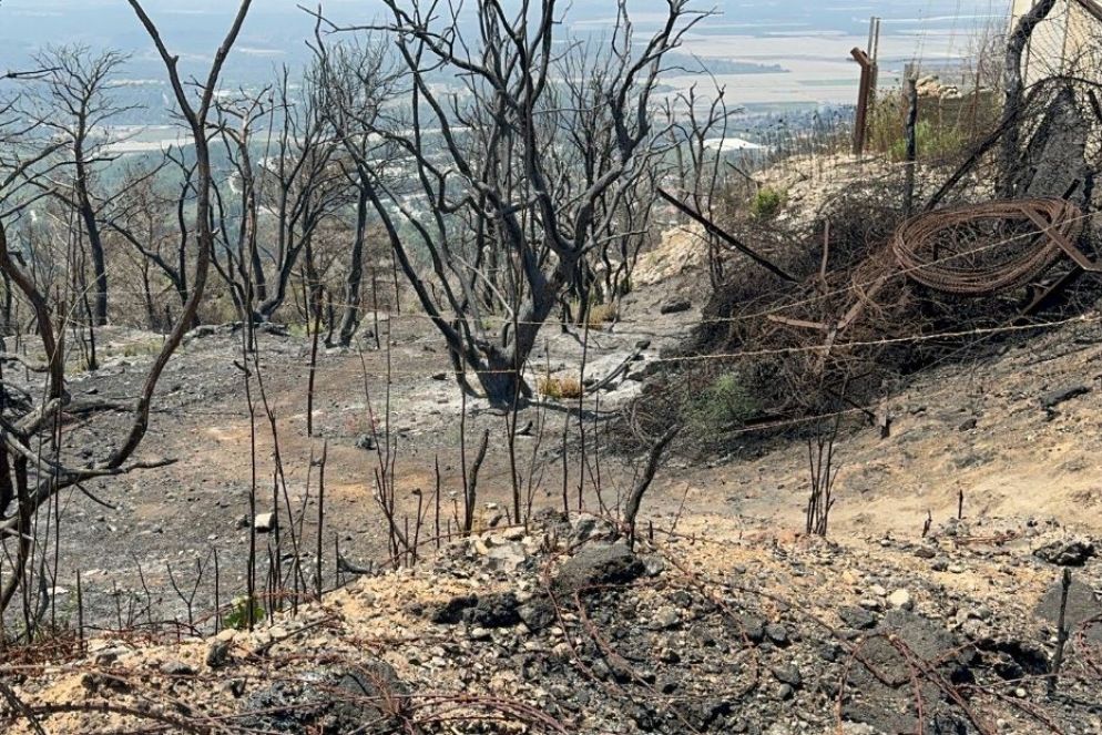 Aree recintate in cui è stata rilevato il fosforo - .