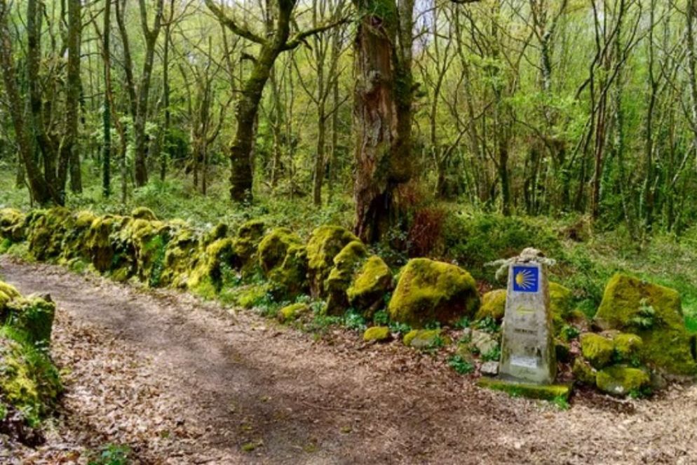 Lungo il Cammino di Santiago, seguendo la conchiglia gialla - Dario Corradino
