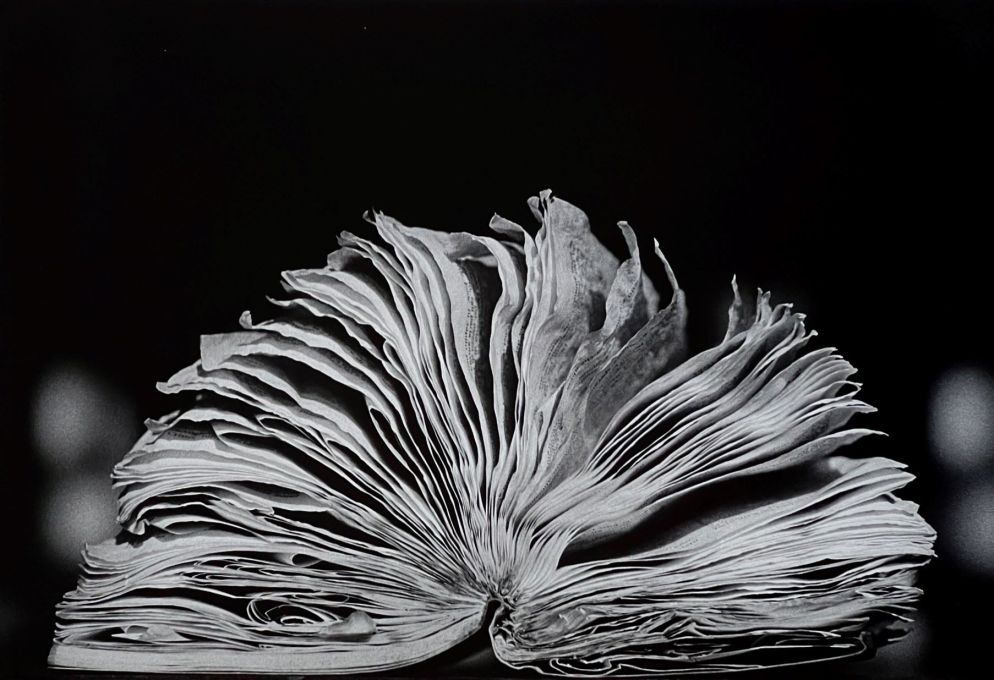 Napoli, 1990 - © Fulvio Magurno