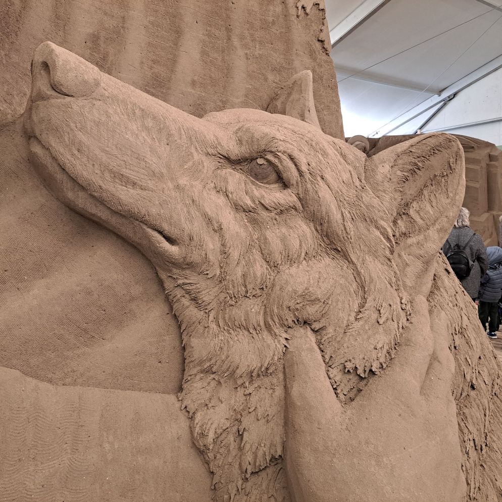 Gli occhi del lupo - .