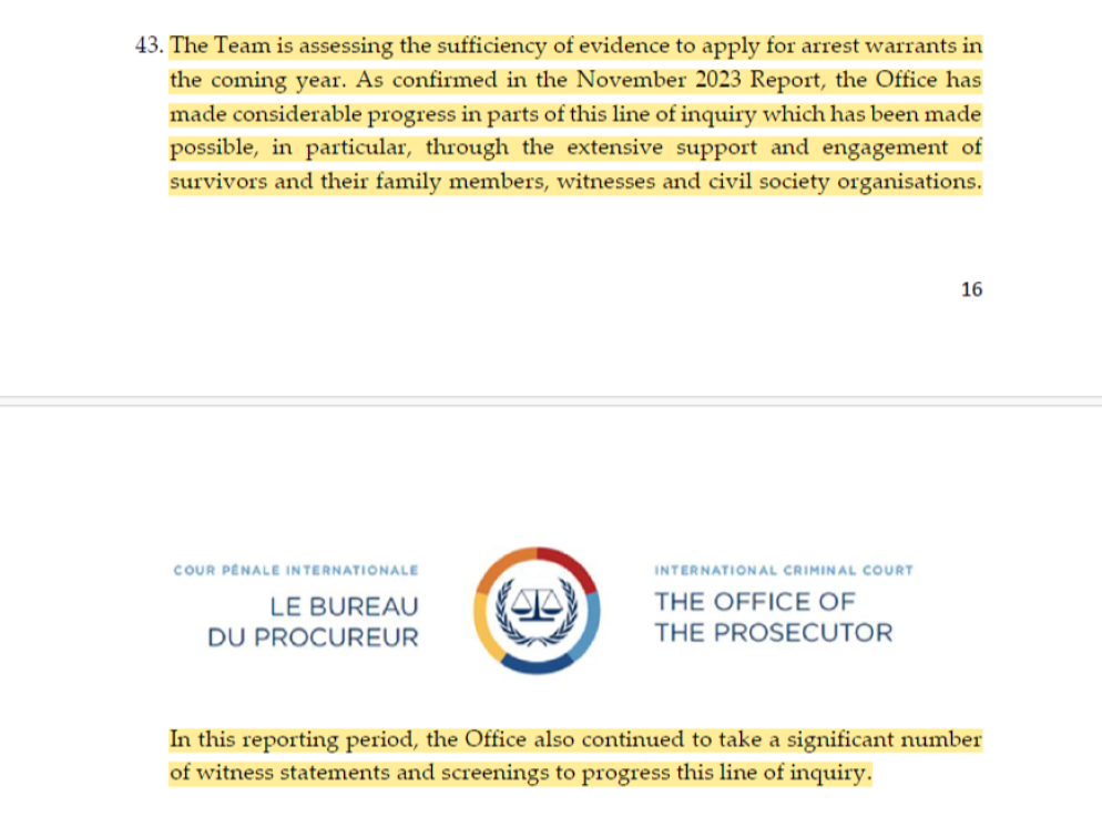 Alcuni stralci della relazione invesyigativa consegnata al Consiglio di sicurezza