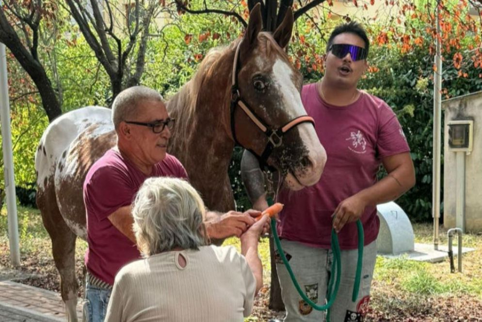 Un'ospite della struttura clinica di Prato corona il suo desiderio di accarezzare un cavallo - .