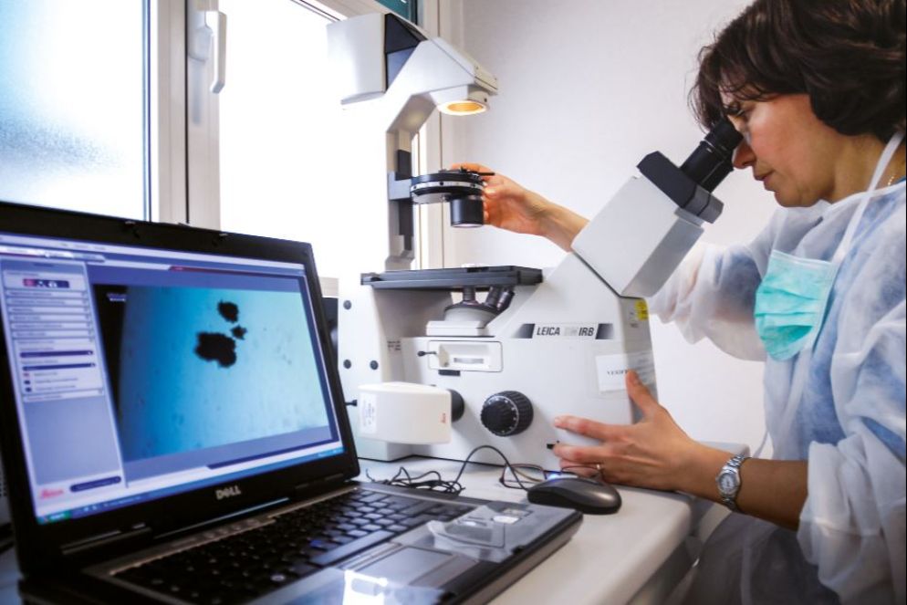 La ricerca è un motore fondamentale dell'attività di Niguarda - Ufficio stampa Niguarda