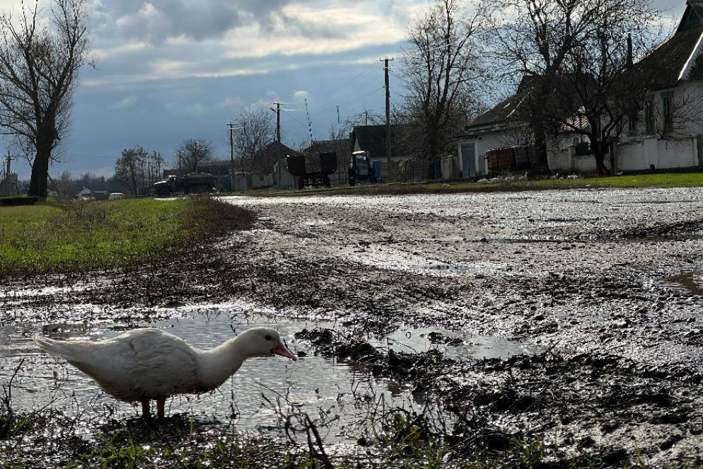 Il villaggio di Groza nell'ultimo lembo della regione di Kharkiv a 35 chilometri dal fronte - Gambassi