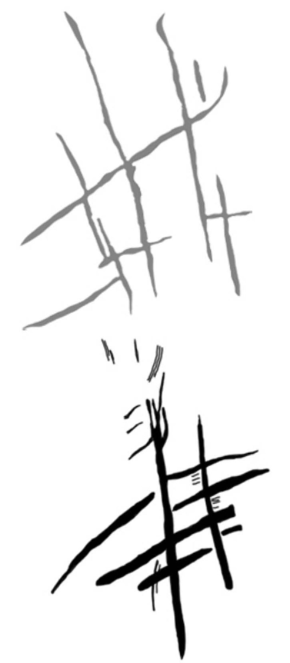 La trascrizione grafica dei petroglifi probabilmente realizzati da Homo Naledi - BioRxiv / CC-by-4.0