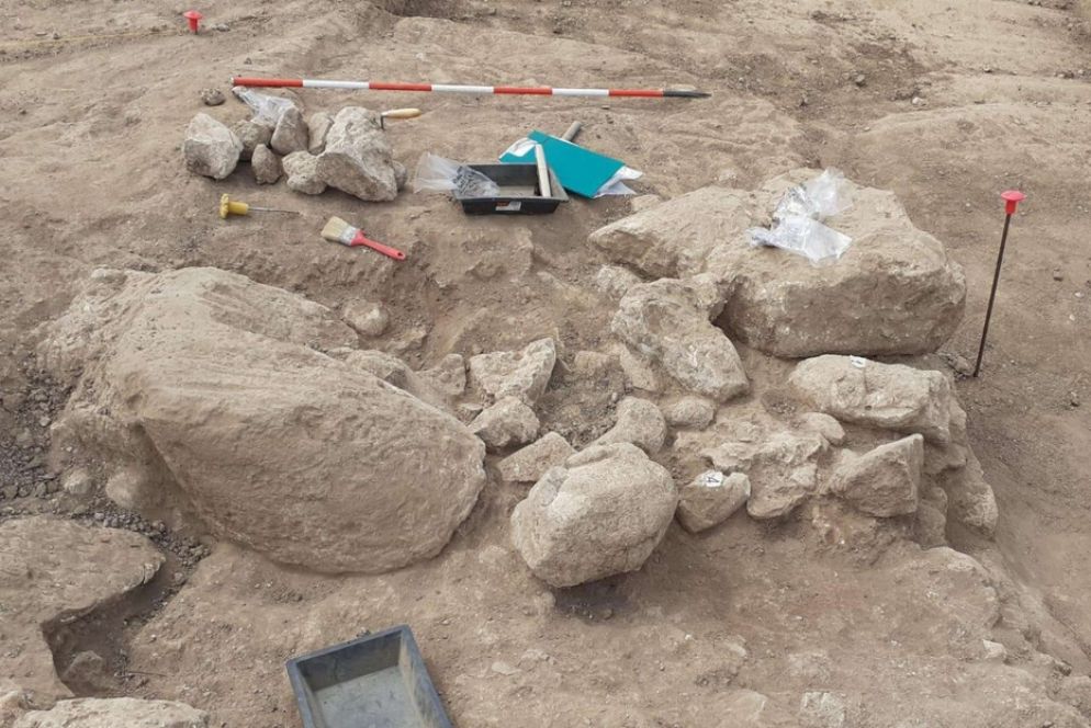 Lo scavo in corso delle statue di due pugilatori giganti a Mont'e Prama, Cabras (Sardegna) - Ansa