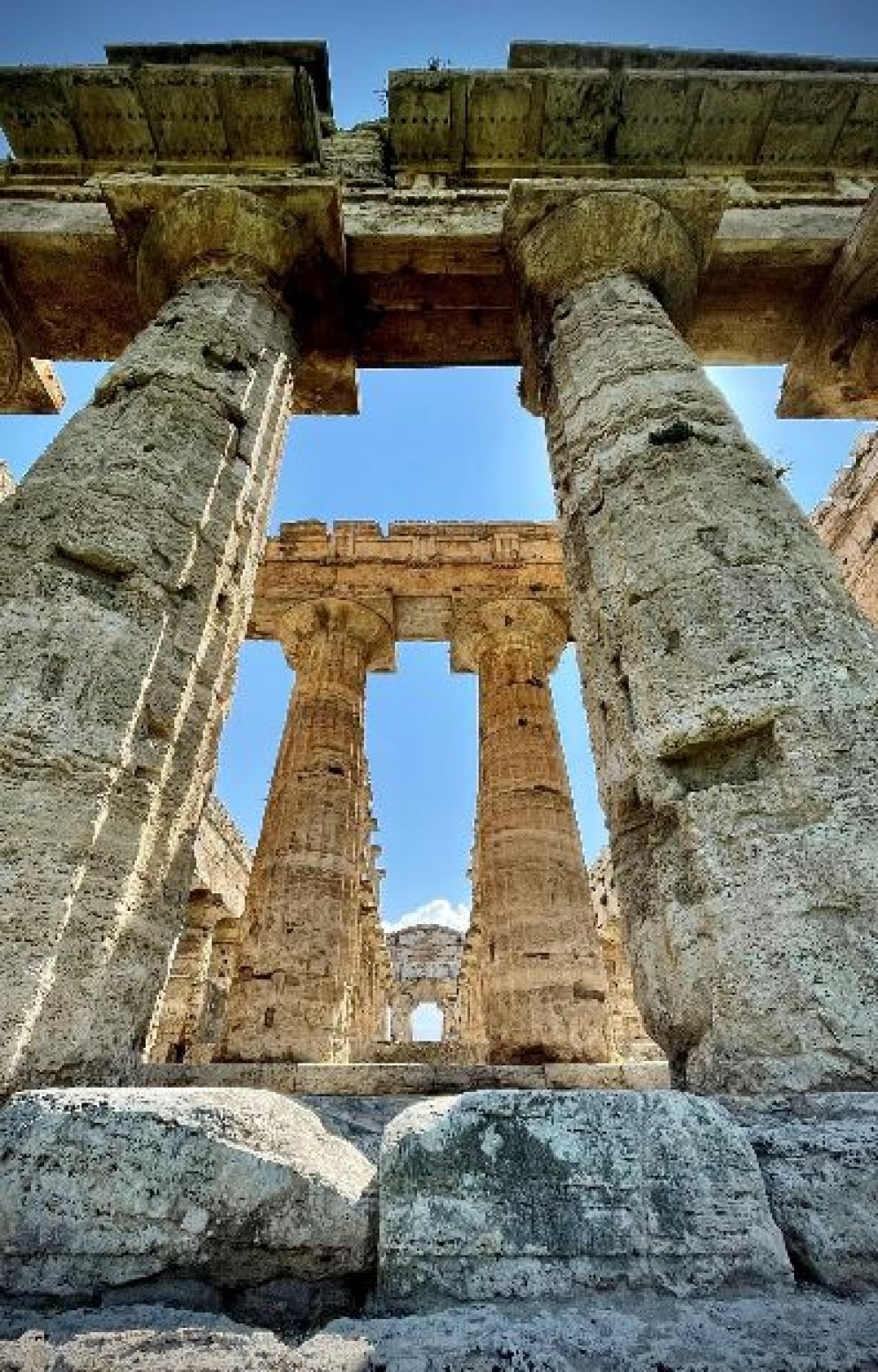 L'area dove sono state realizzate le nuove scoperte sul tempio greco - Ansa/Ufficio Stampa Parco Archeologico di Paestum