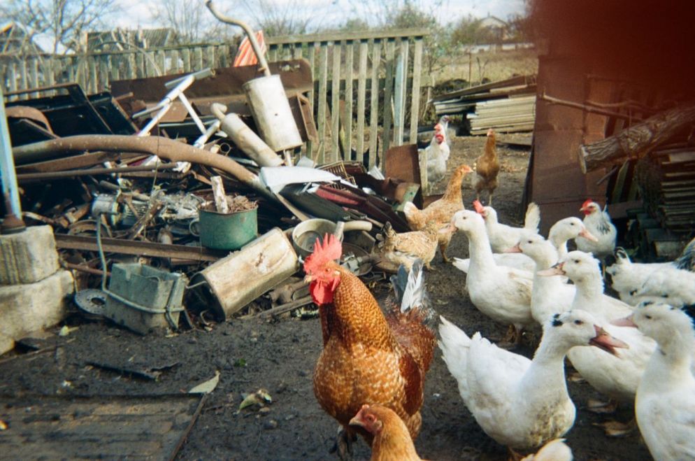 Un’immagine scattata lo scorso gennaio da Matviy, 11 anni, della regione di Kherson - “Behind Blue Eyes Project”