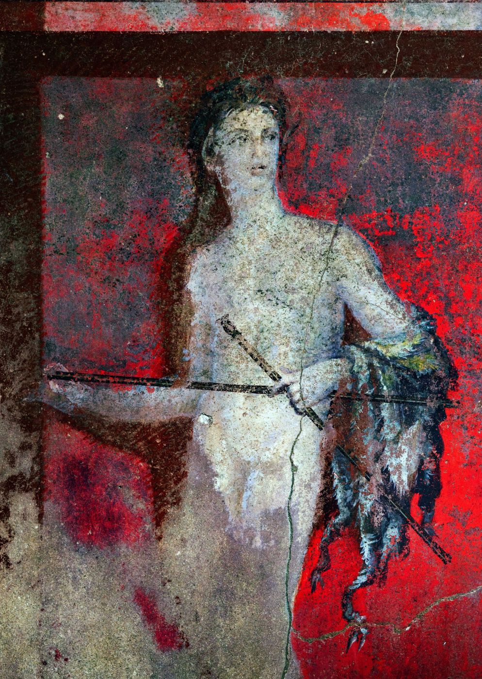 La Casa del Tiaso a Pompei - Fotogramma