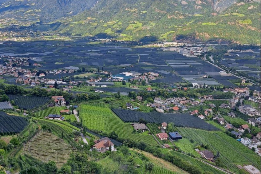 La piana di Lana fra meleti e vigneti - G.Matarazzo