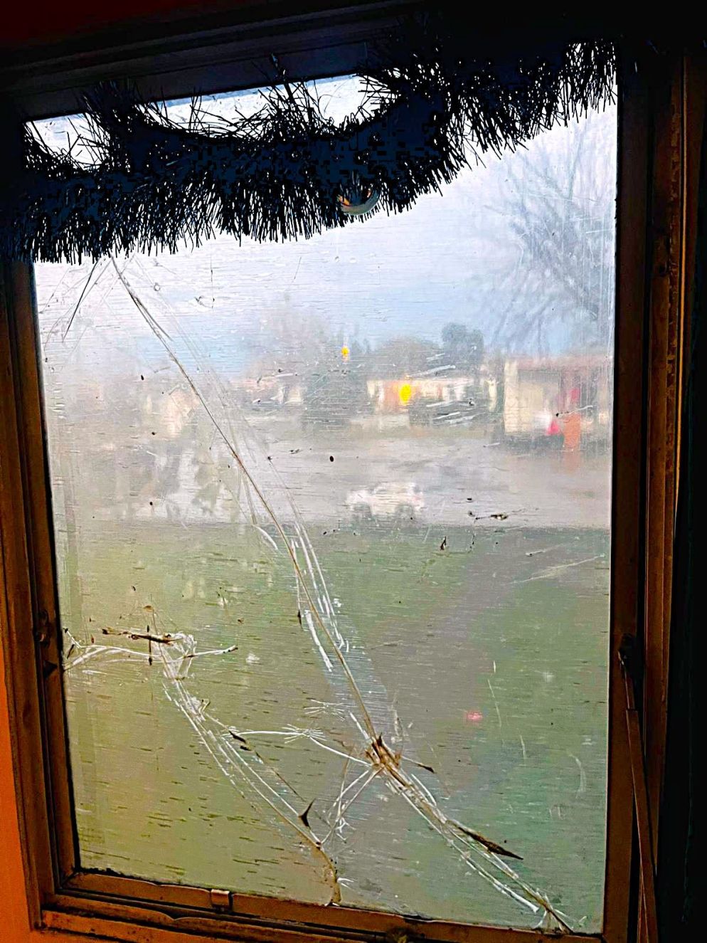 Dalla finestra di un container - Federico Recchia