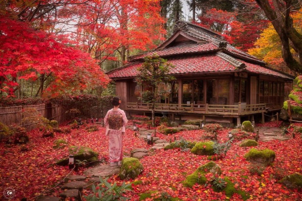 Una signora in abito tradizionale si reca in un tempio nella periferia di Kyoto, in giappone, per osservare l’esplosione di colori dei nomini, gli aceri giapponesi - © Stefano Tiozzo