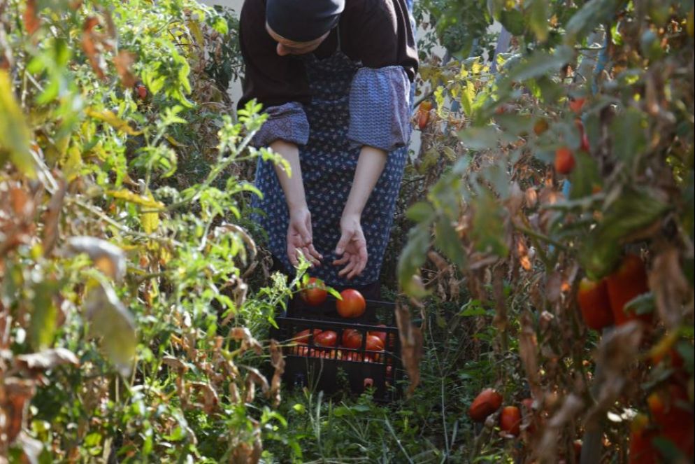 Una delle foto del calendario 2024 delle cappuccine di Città di Castello dedicato al tema del lavoro - -.