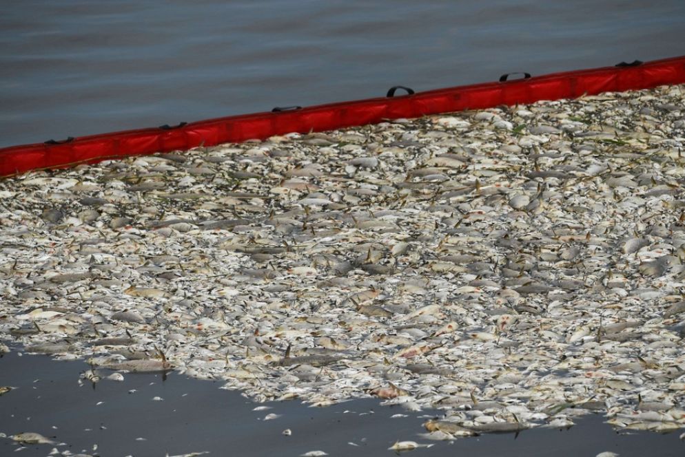 Adesso si teme che l'avvelenamento finisca col colpire anche il mare Baltico - Reuters