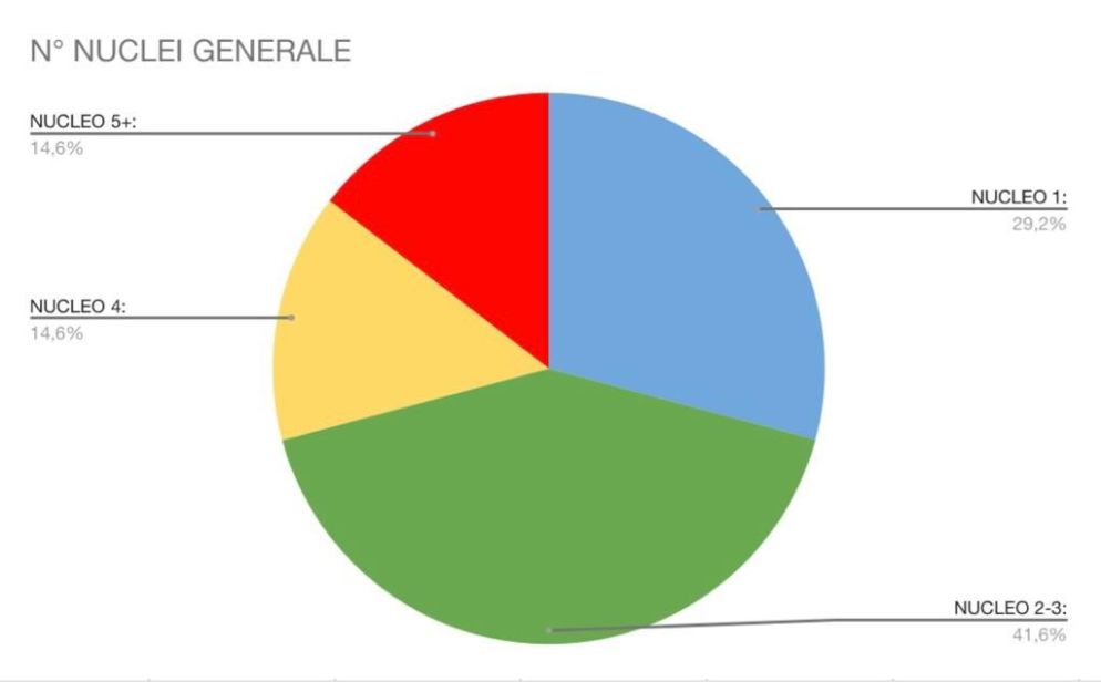 La "torta" delle percentuali generali di tutti i 14.013 richiedenti per composizione del nucleo familiare