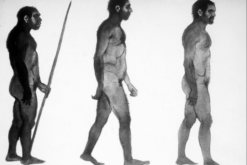 Ricostruzioni di uomini primitivi: uomo di Neanderthal, uomo del Monte Carmelo, uomo di Cro-Magnon - Archivio