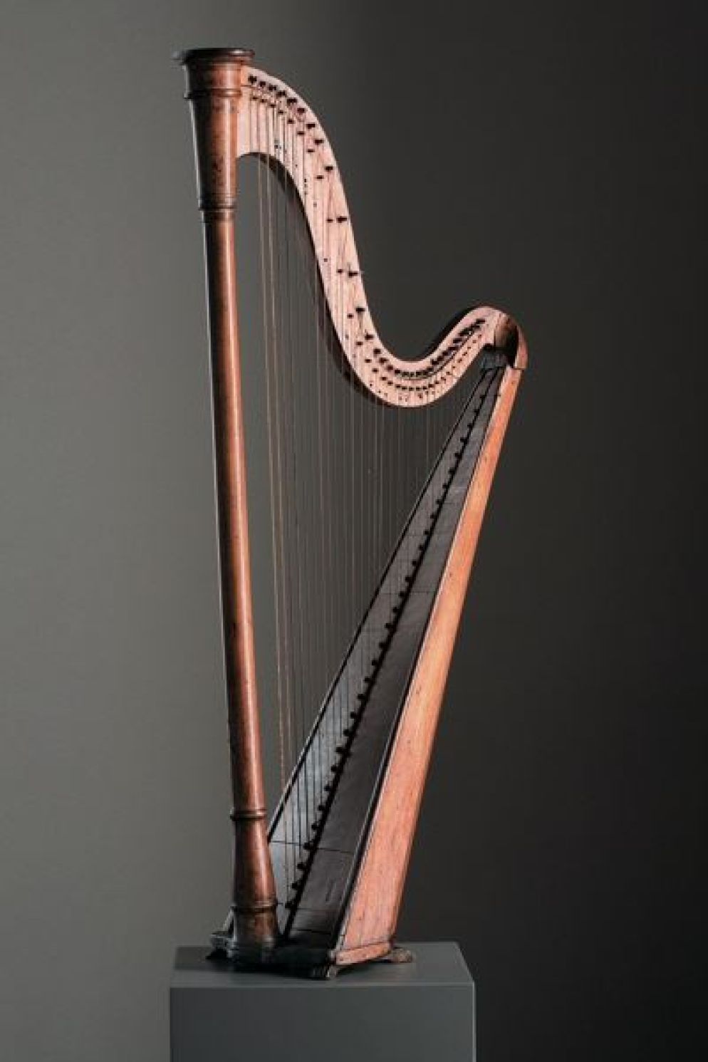 l’arpa viggianese conservata al Museo dell’arpa “Victor Salvi” di Piasco (Cuneo) - Pino Dell'Aquila/Museo dell’arpa “Victor Salvi”