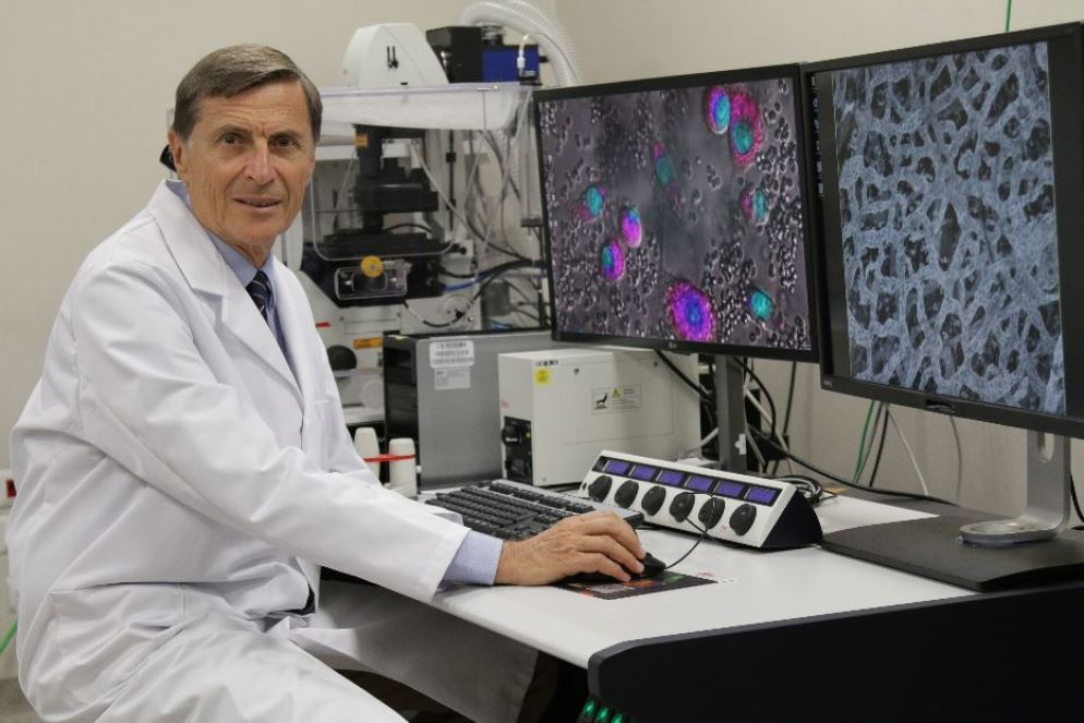 Alberto Mantovani, presidente della Fondazione Humanitas per la Ricerca - Fabio Oriani images