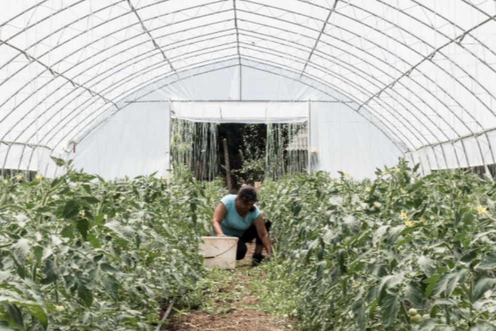 undefined - Stefania Prandi