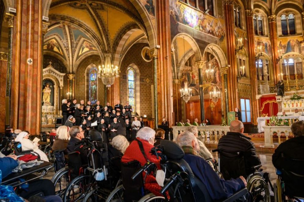 Foto Andrea Pellegrini - Ufficio Stampa Piccola Casa