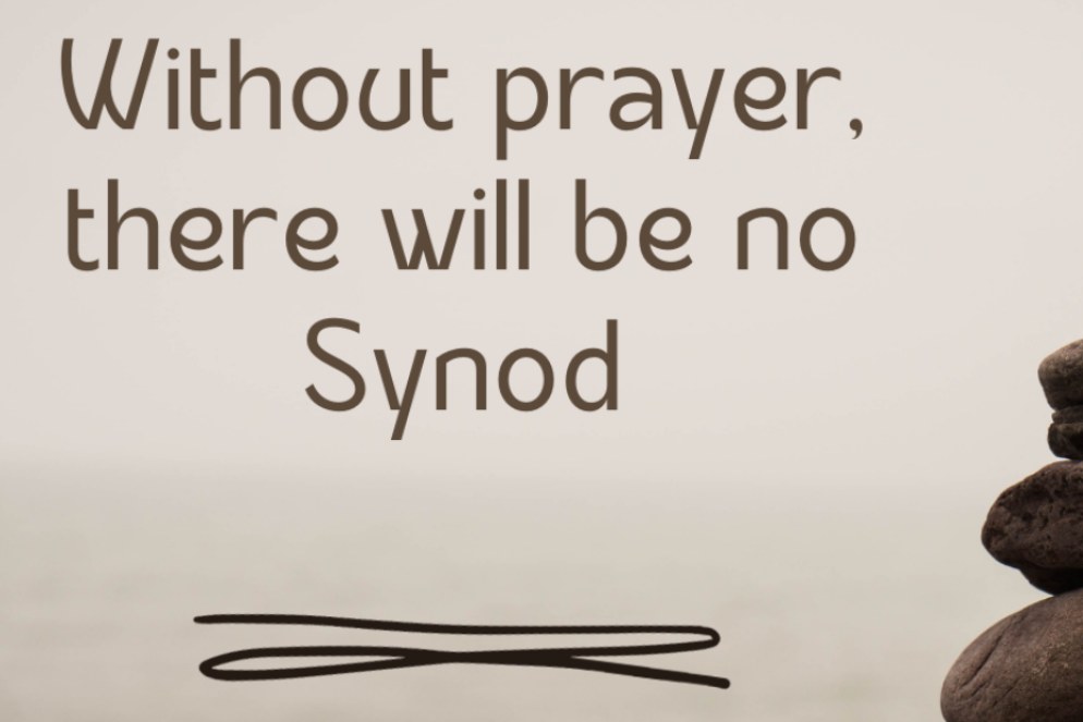 Parte del logo del Sinodo - Ansa