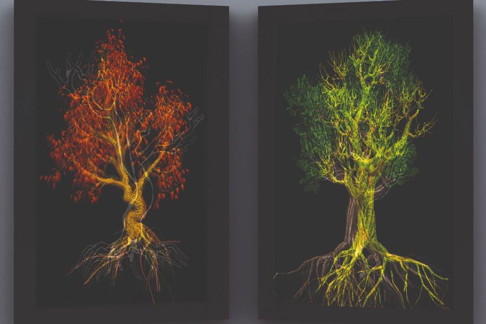 Davide Coltro, “Arborescenze”, 2020, installazione di quadri mediali. Verona, Galleria Arte Moderna Palazzo Forti - archivio DMC