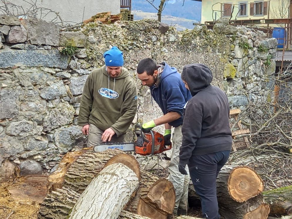 I taglio della legna - Archivio Casa vite intrecciate
